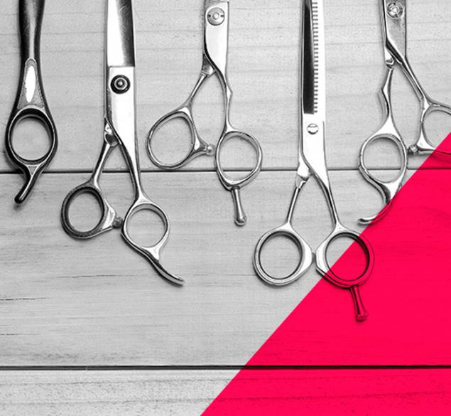 Hair-cutting shears: Properties, features & differences